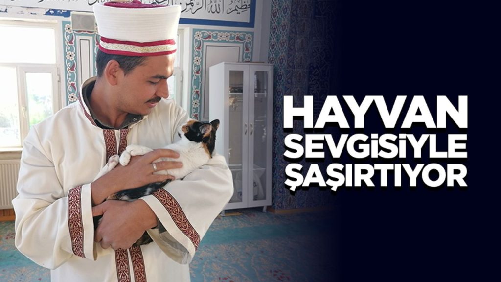 Kedileri leğende yıkayan imam hayvan sevgisiyle şaşırtıyor