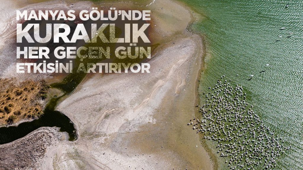 Manyas Gölü’nde kuraklık her geçen gün etkisini artırıyor