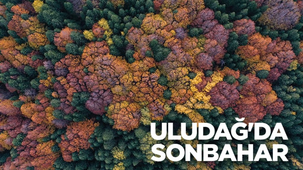 Uludağ'da sonbahar renkleri hakim oldu