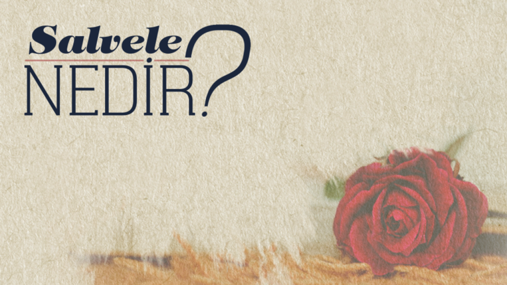 Salvele Nedir?