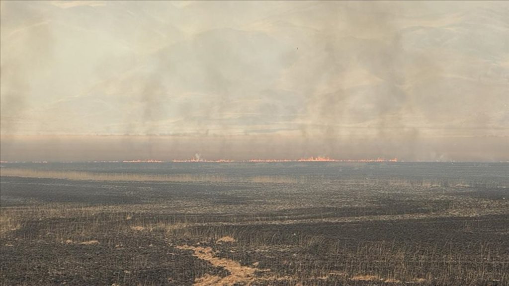 Hakkari'de Nehil Sazlığı'ndaki yangına havadan müdahale ediliyor