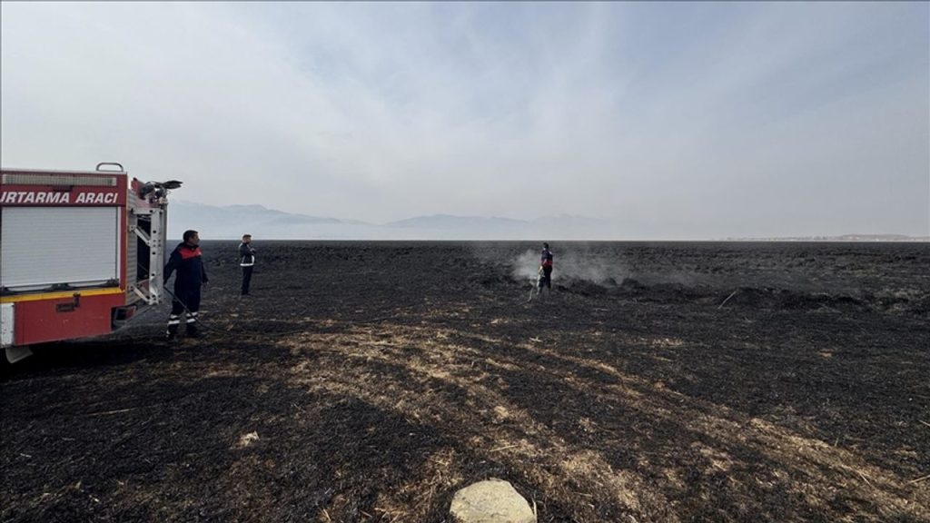 Hakkari'deki Nehil Sazlığı'nda 7 Kasım'da çıkan yangın söndürüldü