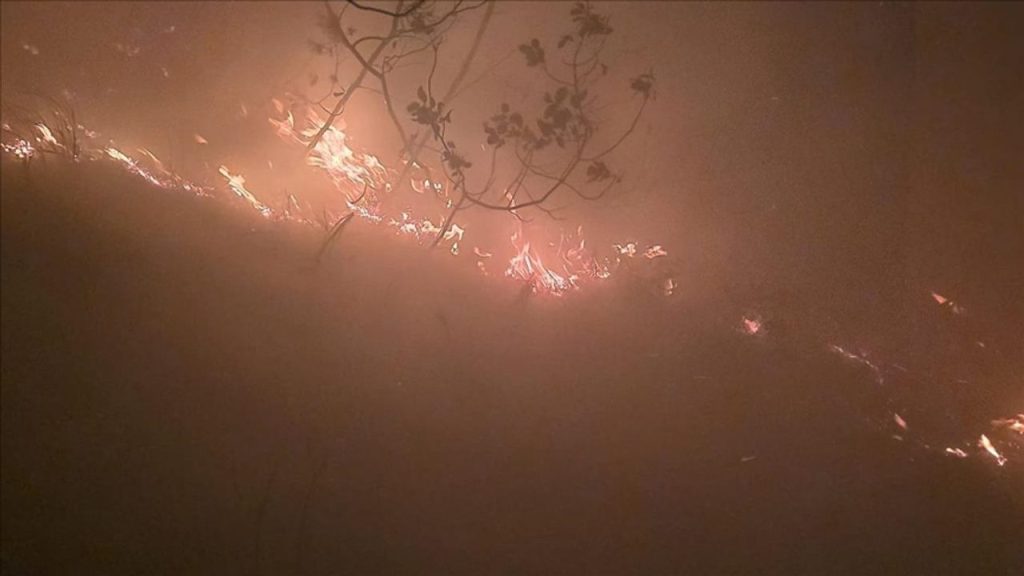 Hatay'da ormanlık alanda yangın çıktı