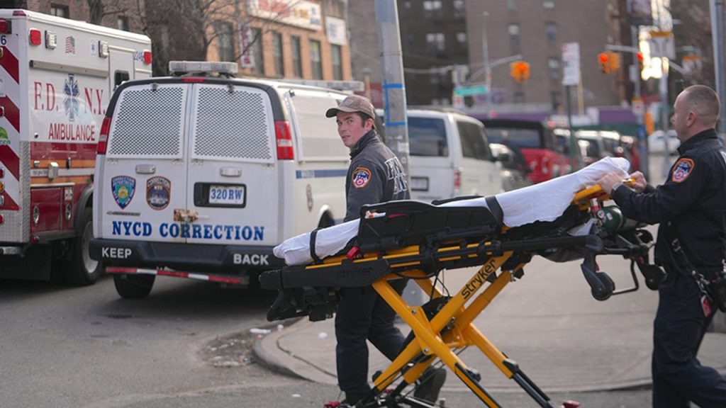 New York’ta "üçlü salgın" alarmı