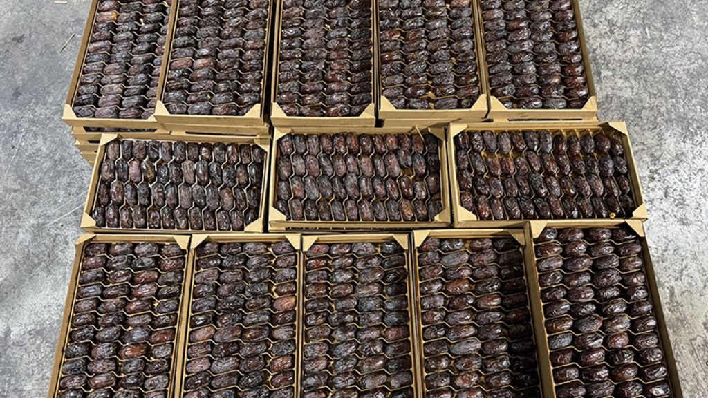 Filistinli yetkililer İsrail hurmalarının Filistin etiketiyle pazarlandığı uyarısında bulundu